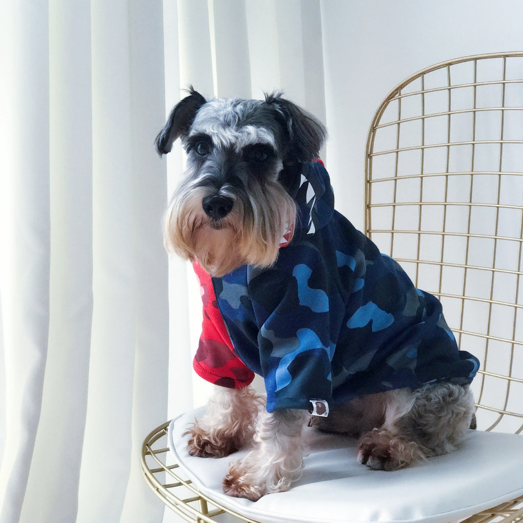 Pet Tide Brand Clothes Dogs Cats Myna Teddy Schnauzer Puppy Autumn And Winter Thickened Sweater