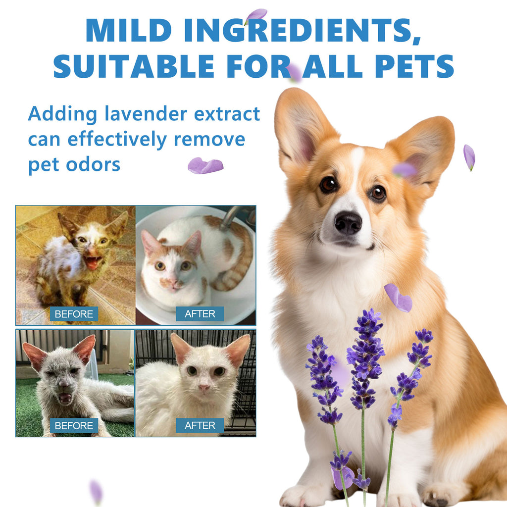 Yegbong Pet Leave-In Serum Set For Cats And Dogs To Clean Hair Fluffy, Soft And Fragrance Care Essence