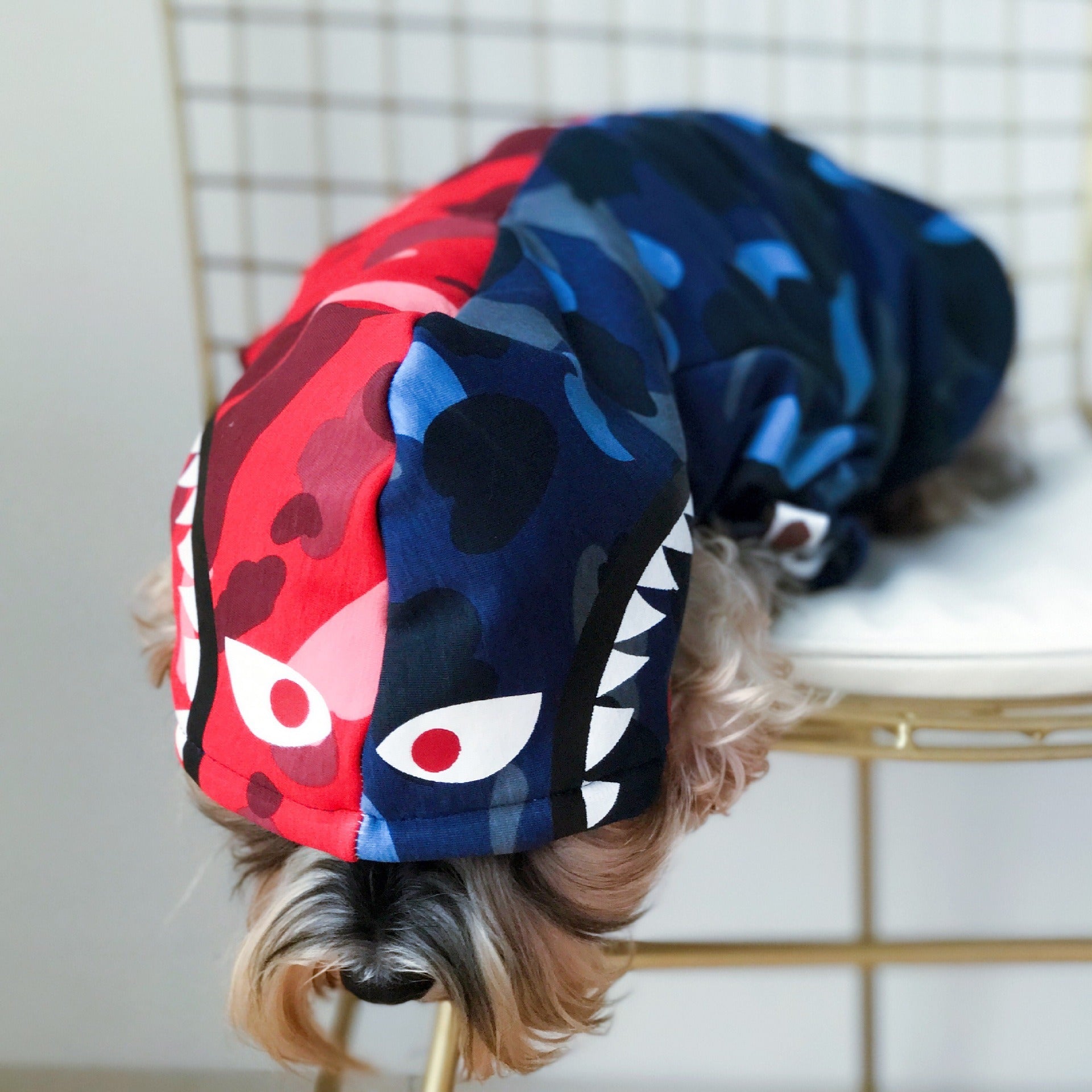 Pet Tide Brand Clothes Dogs Cats Myna Teddy Schnauzer Puppy Autumn And Winter Thickened Sweater
