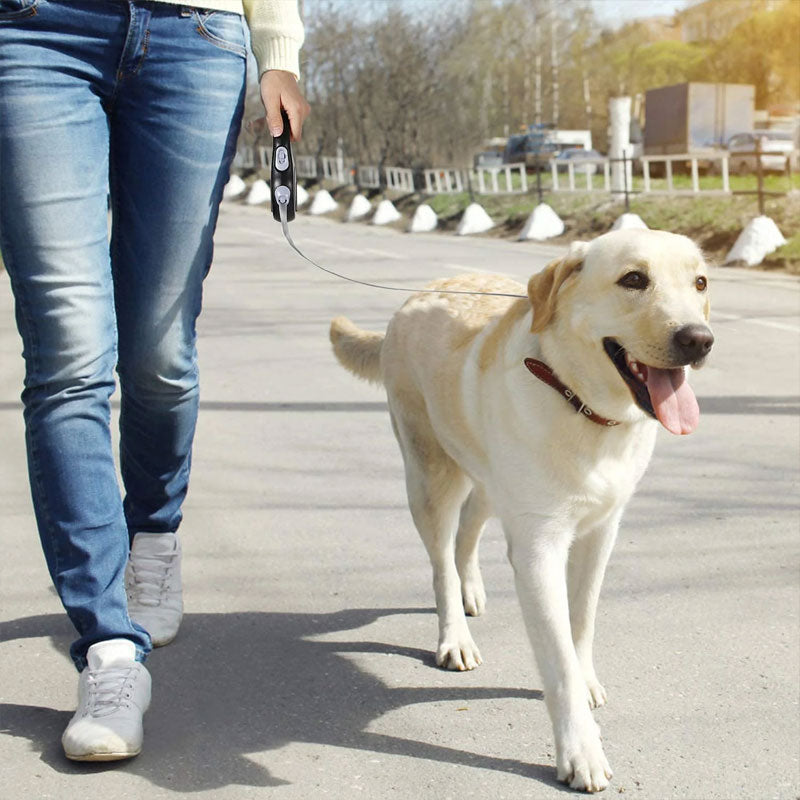 Retractable Dog Leash (5m/8m, 50kg capacity) – Adjustable, durable, for small/big dogs (walking, hiking)